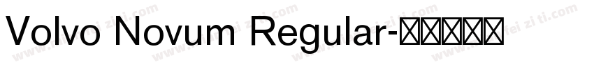 Volvo Novum Regular字体转换